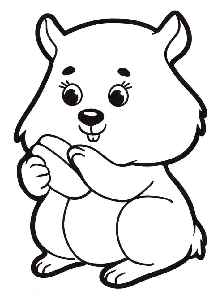 Hamster for 4-åringer fargelegging