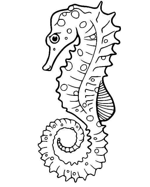 Hav Sjøhest fargelegging