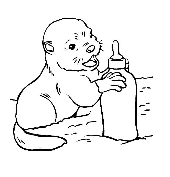 Kjempekul Oter fargelegging