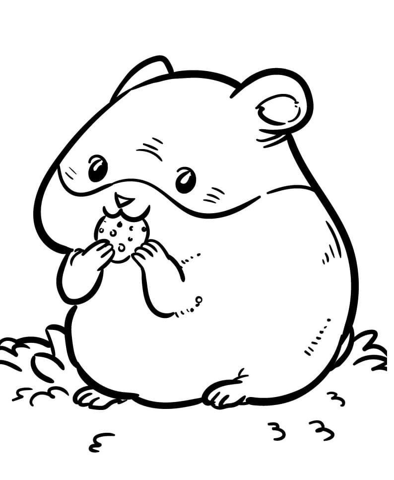 Lett Hamster fargelegging