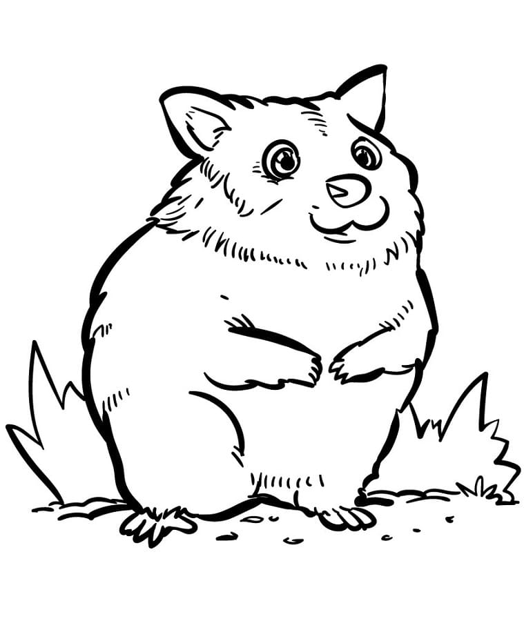 Liten Tegneserie Hamster fargelegging