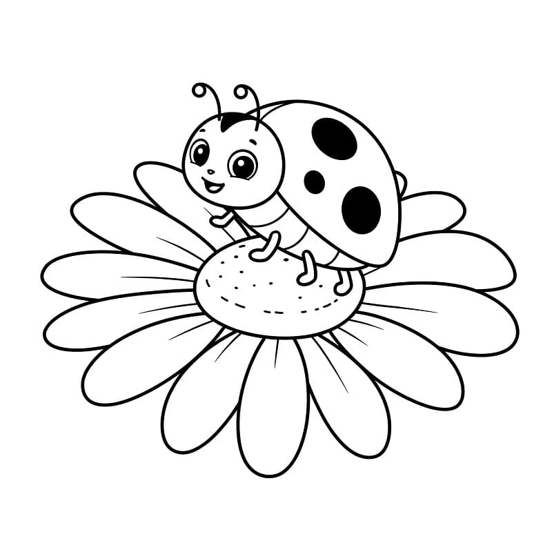 Marihøne på blomst fargelegging