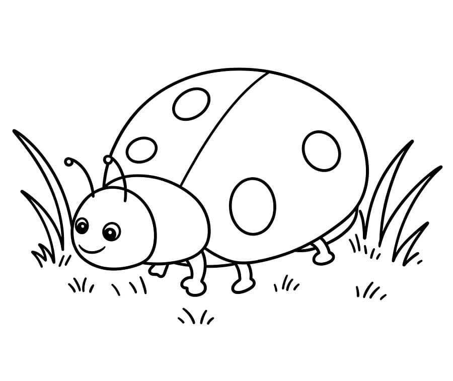 Marihøne på gress fargelegging