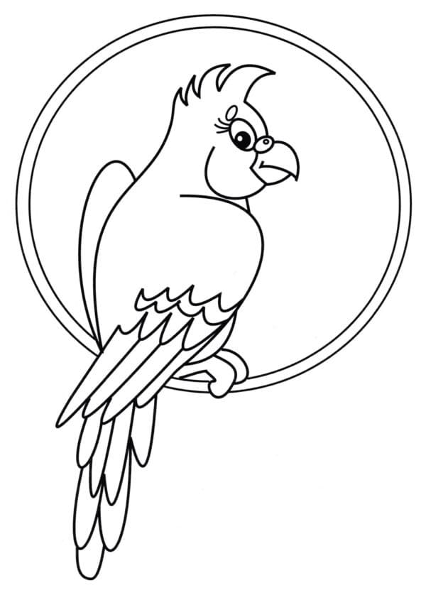 Nydelig papegøye fargelegging