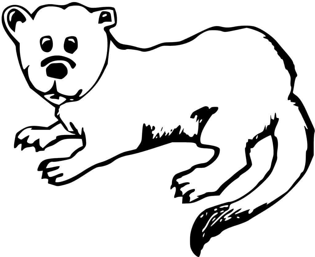 Oter for 1-åringer fargelegging