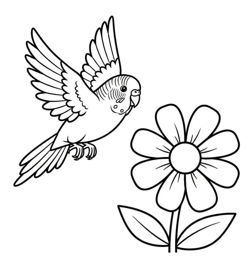 Papegøye med blomst fargelegging