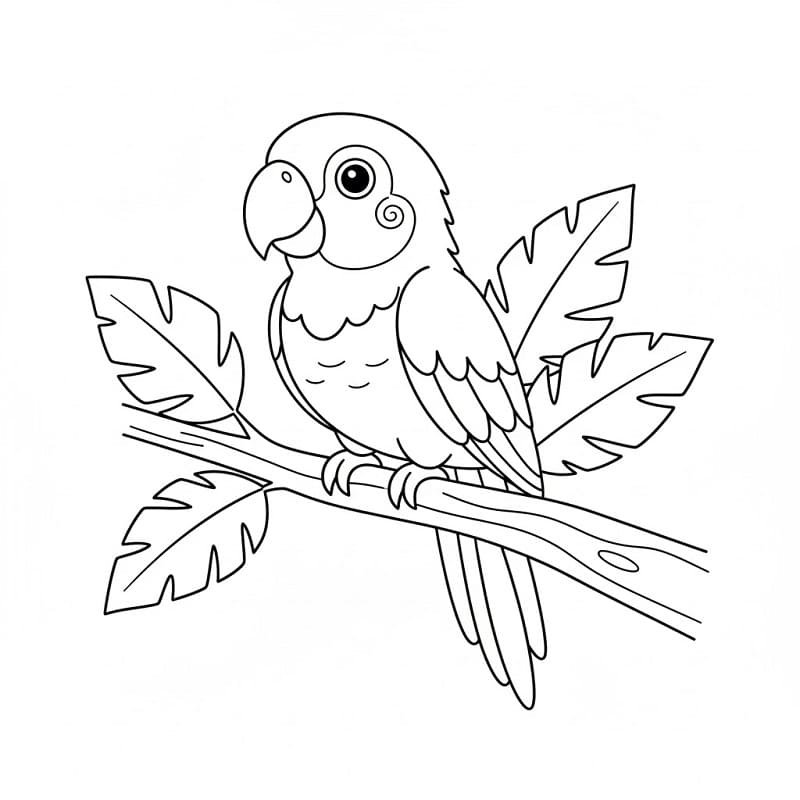Papegøyefugl fargelegging