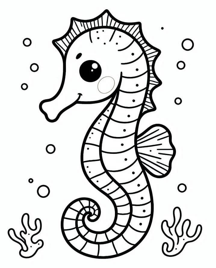 Sjøhest Bilde fargelegging