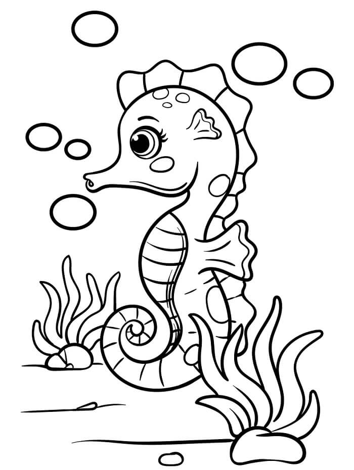 Sjøhest Utskriftbar fargelegging