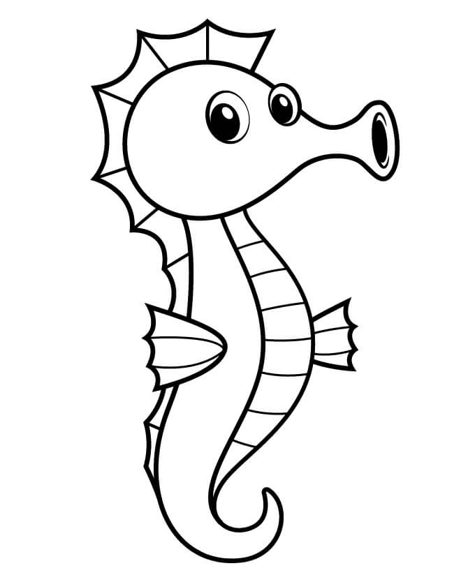 Sjøhest fargelegging