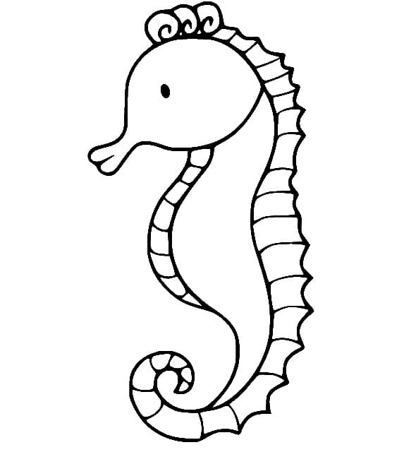 Sjøhest under Havet fargelegging