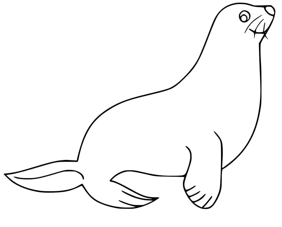 Sjøløve Bilde fargelegging