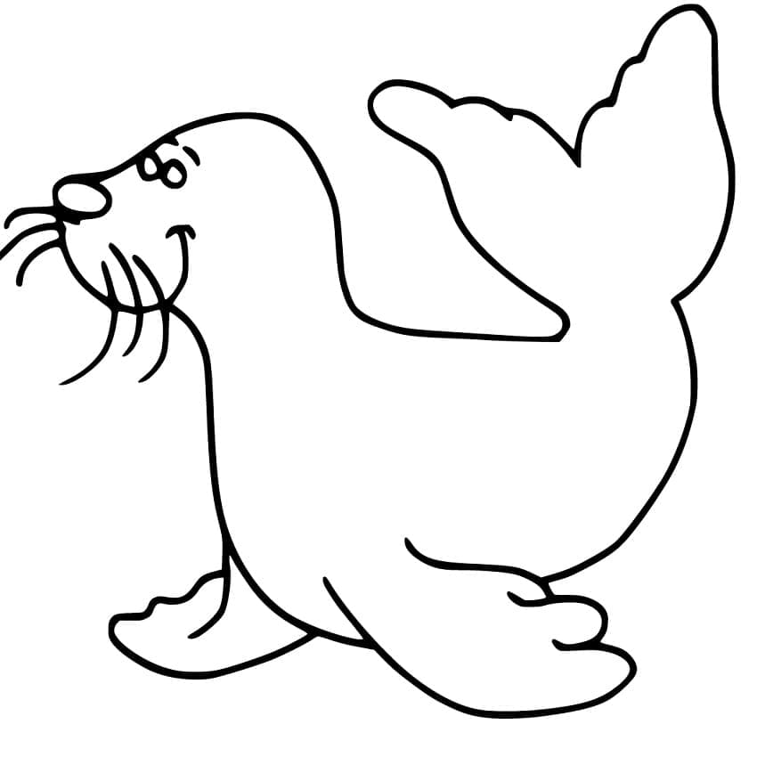 Sjøløve Gratis Bilde fargelegging