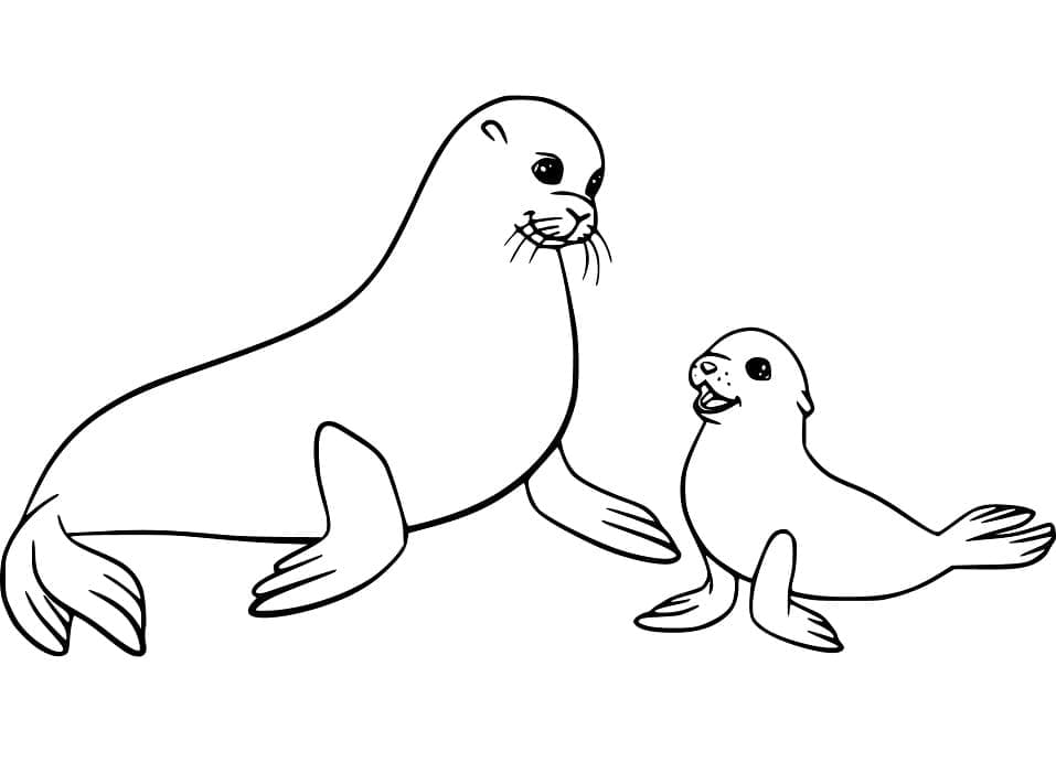 Sjøløve Uten Kostnad fargelegging