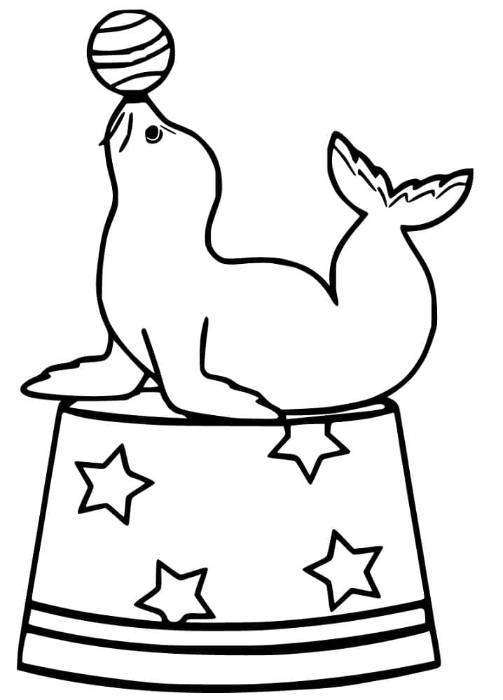 Sjøløve å Skrive ut fargelegging