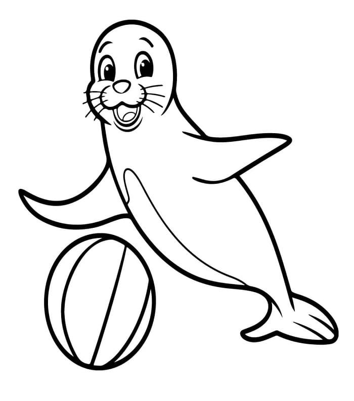 Sjøløve med Ball fargelegging