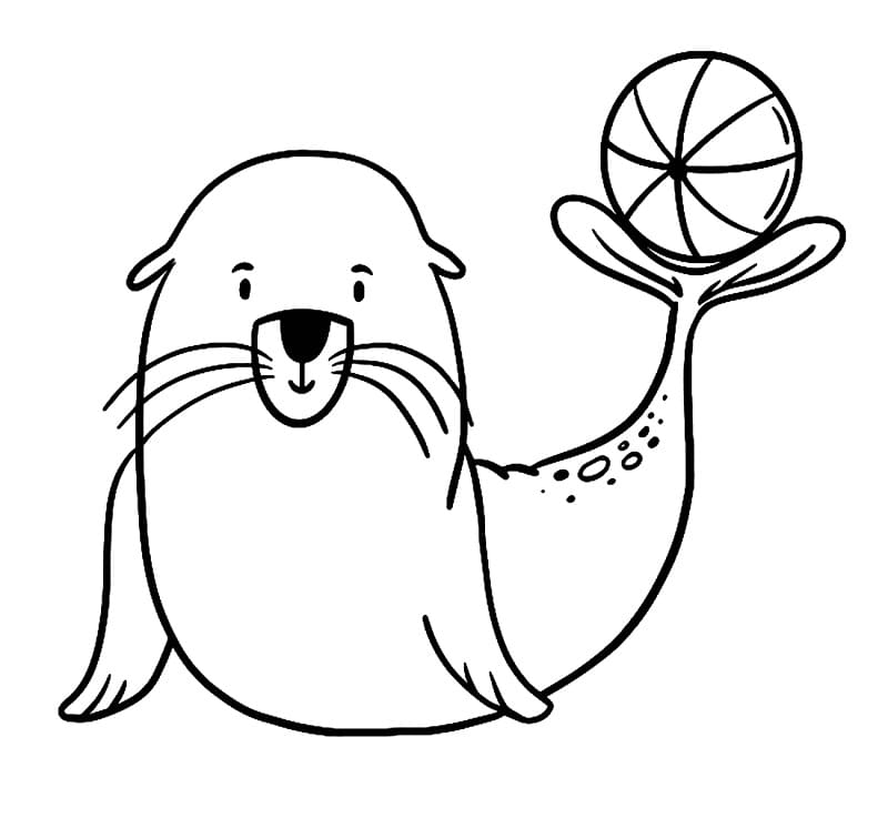 Sjøløve som Leker med Ball fargelegging