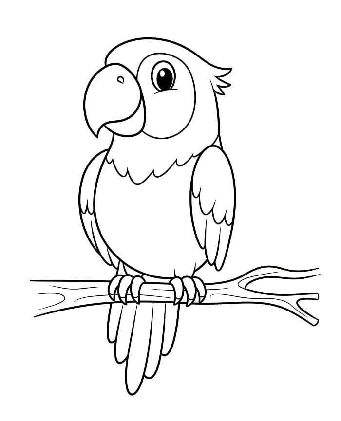 Smilende papegøye fargelegging