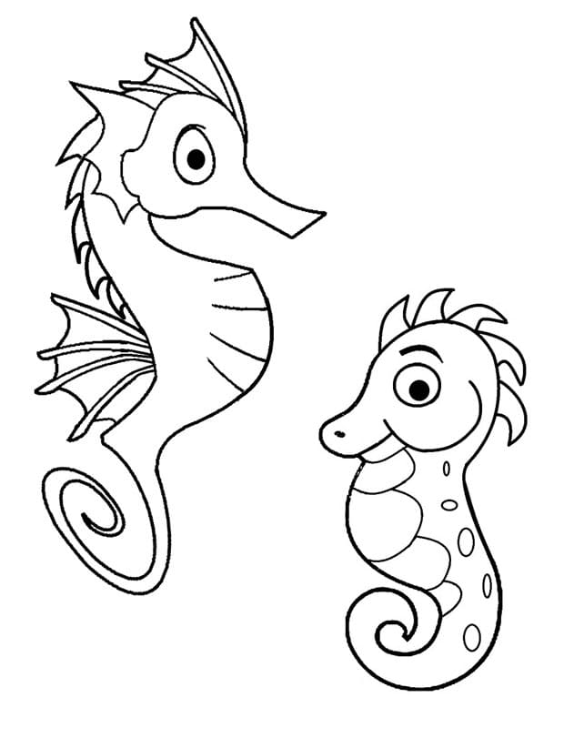 Svømmende Sjøhest fargelegging