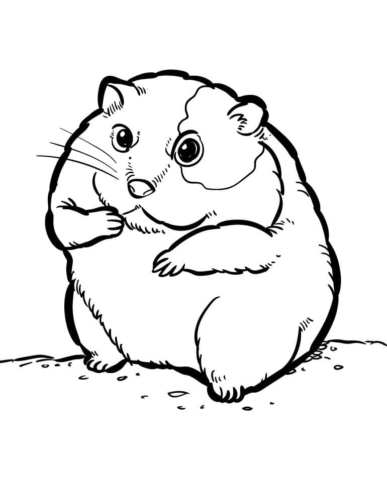 Tegneserie Hamster fargelegging