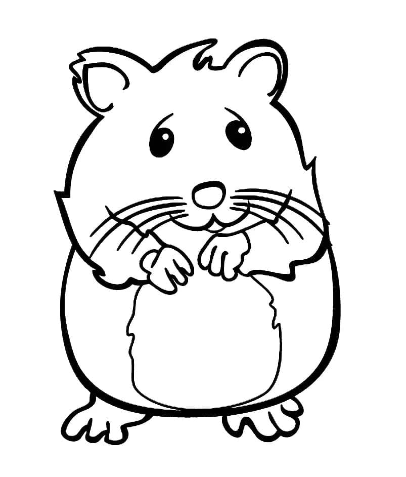 Utskriftbar Hamster for Barn fargelegging