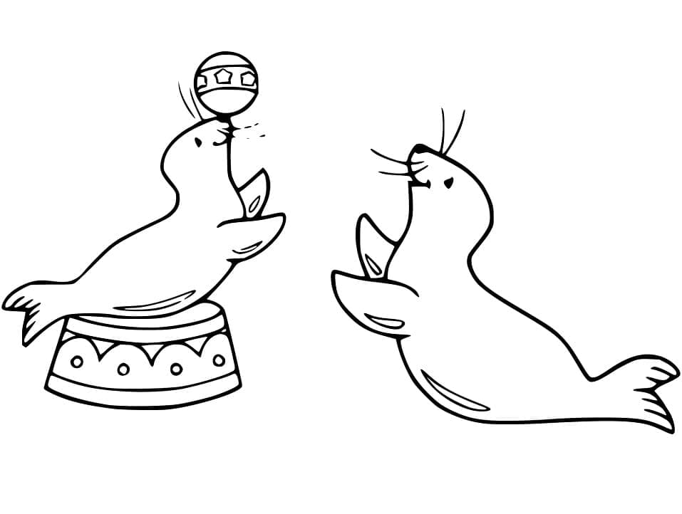 Utskriftbar Sjøløve fargelegging