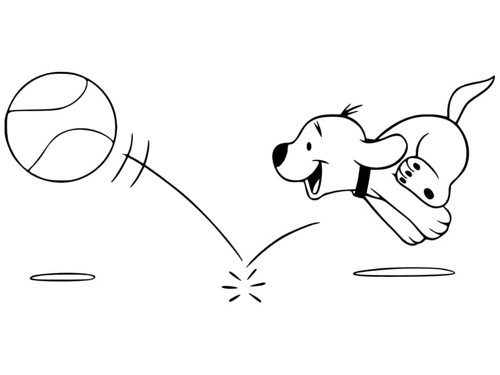 Valp Clifford fargelegging