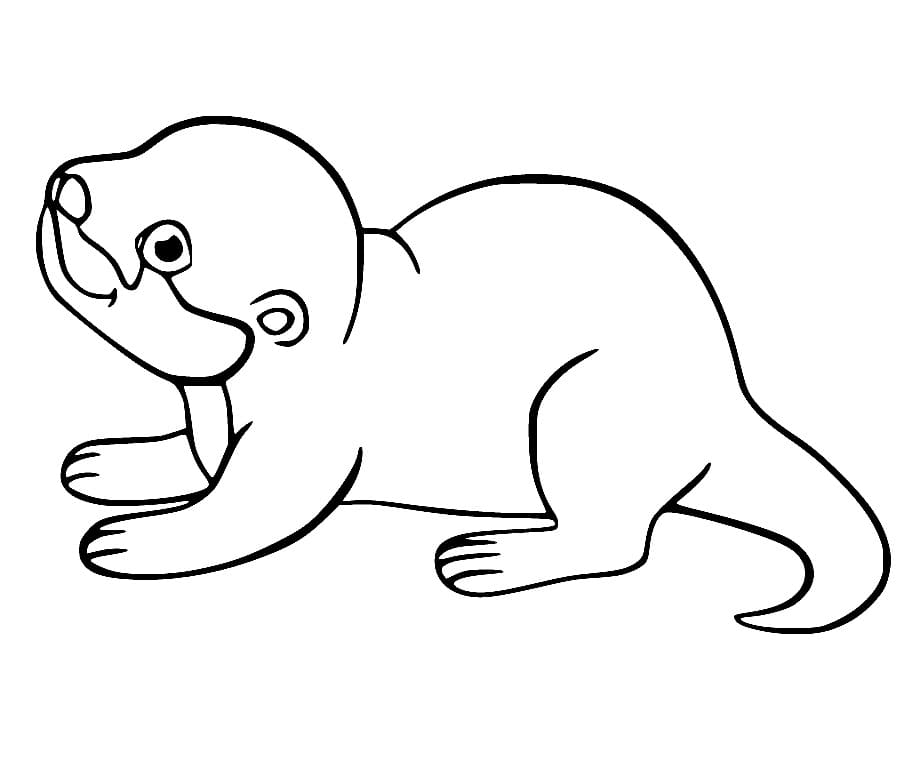 Vanlig Oter fargelegging