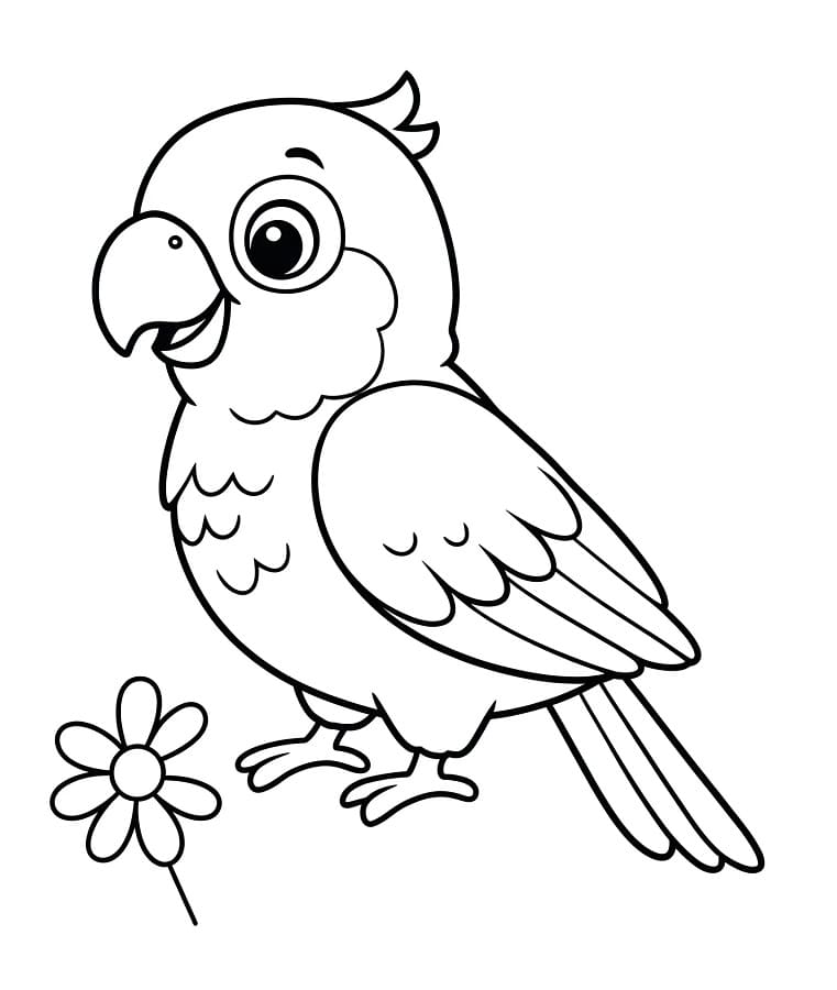 Vennlig papegøye fargelegging