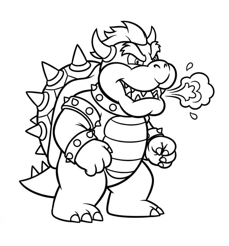 Bowser fargelegging