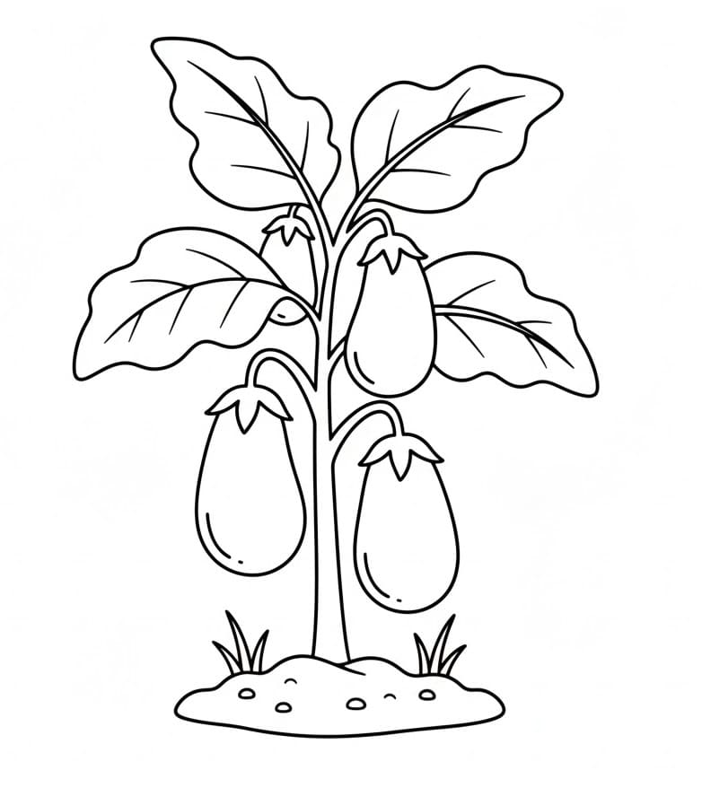 En Aubergine-plante fargelegging