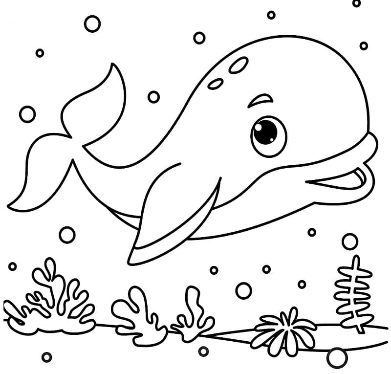 Enkel Hval fargelegging