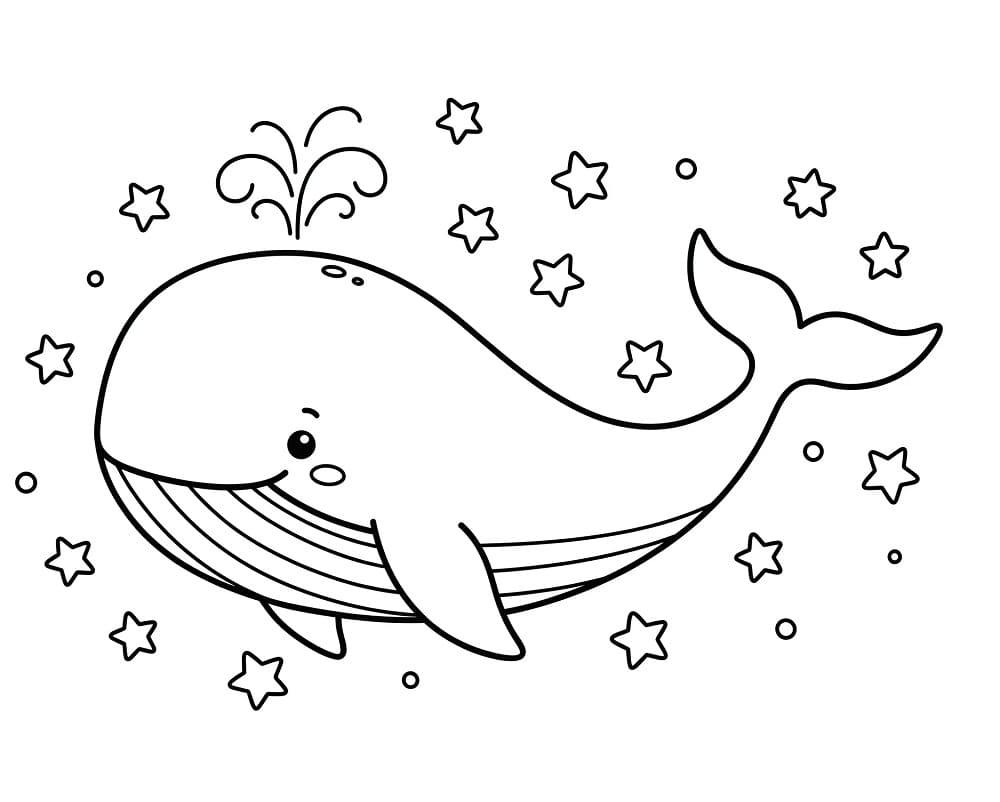 Fin Hval fargelegging