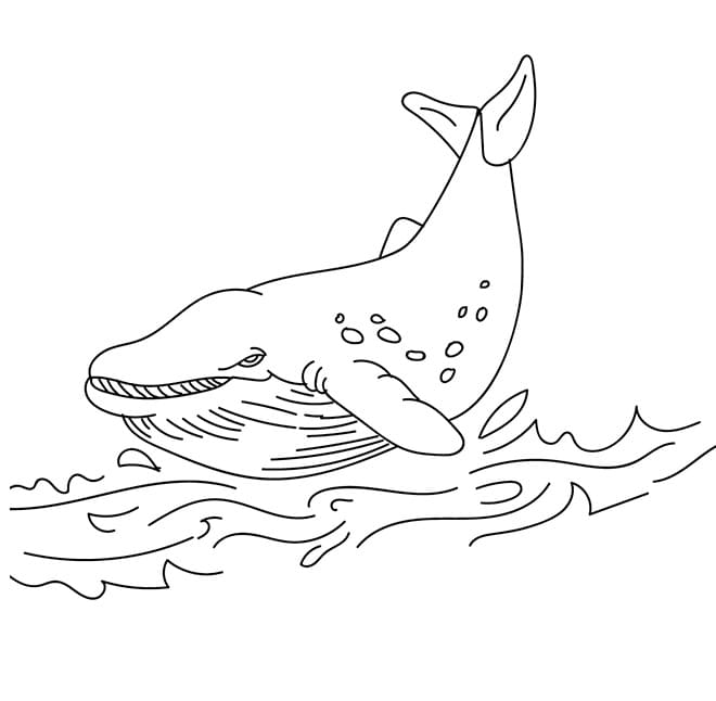 Gratis Hval for Barn fargelegging