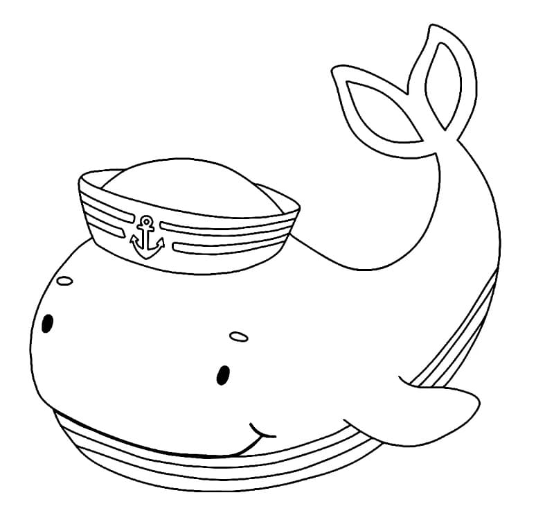 Grunnleggende Hval fargelegging