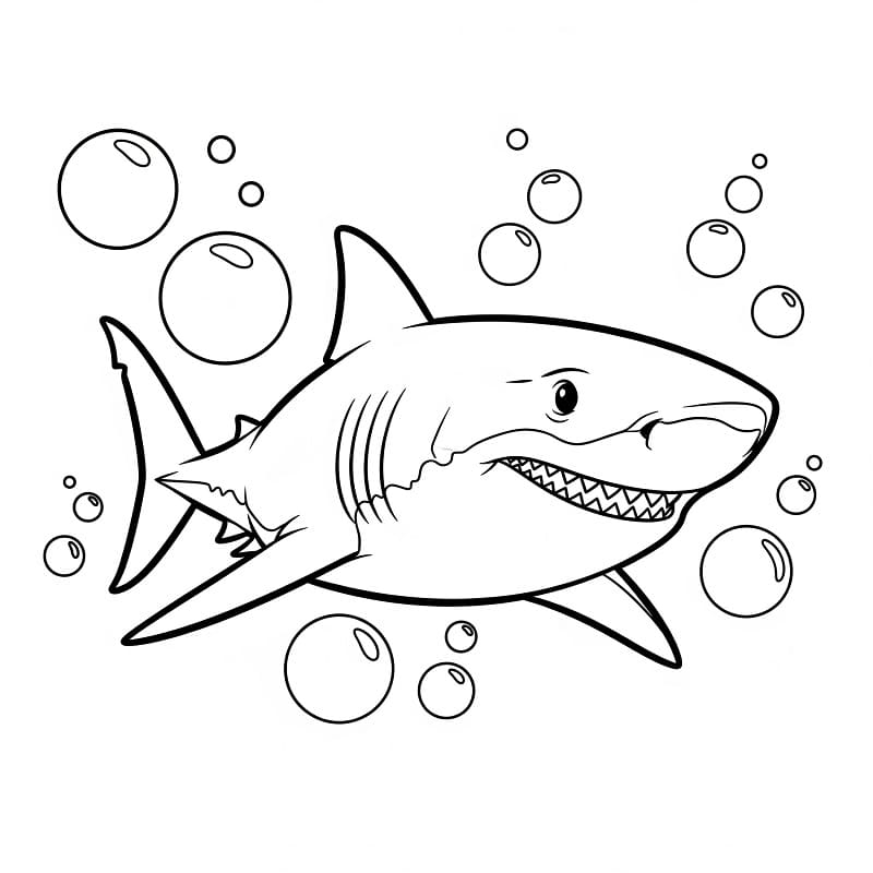 Hai Boyama fargelegging