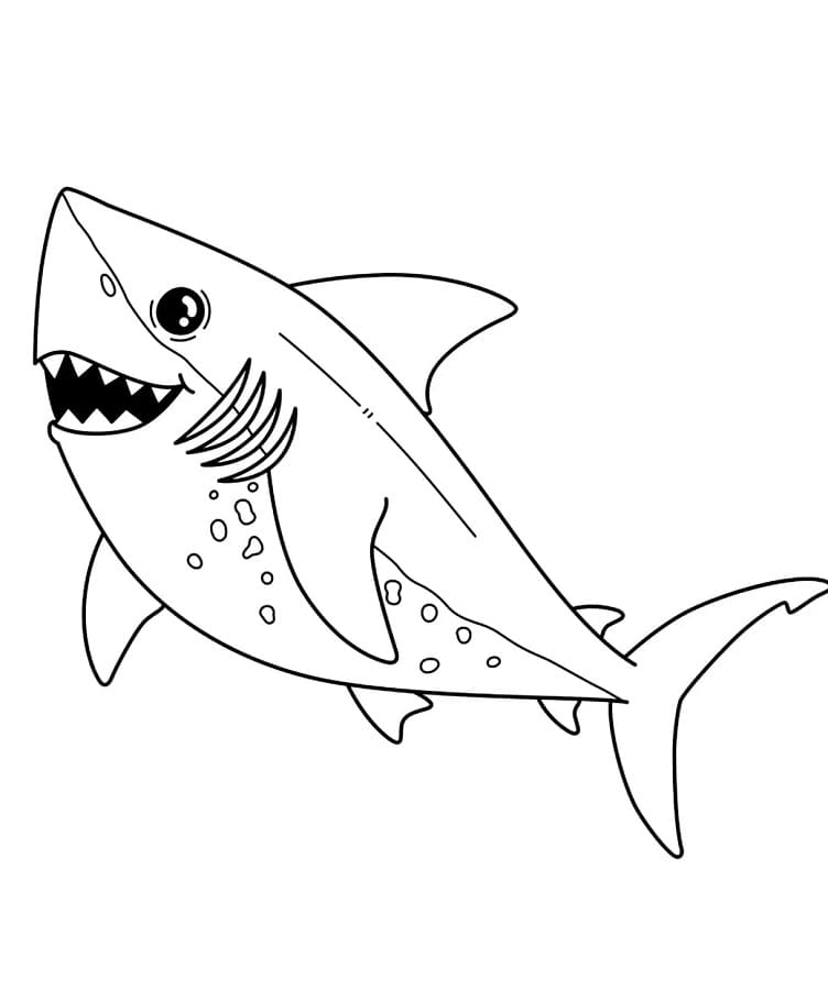 Hai Gratis fargelegging