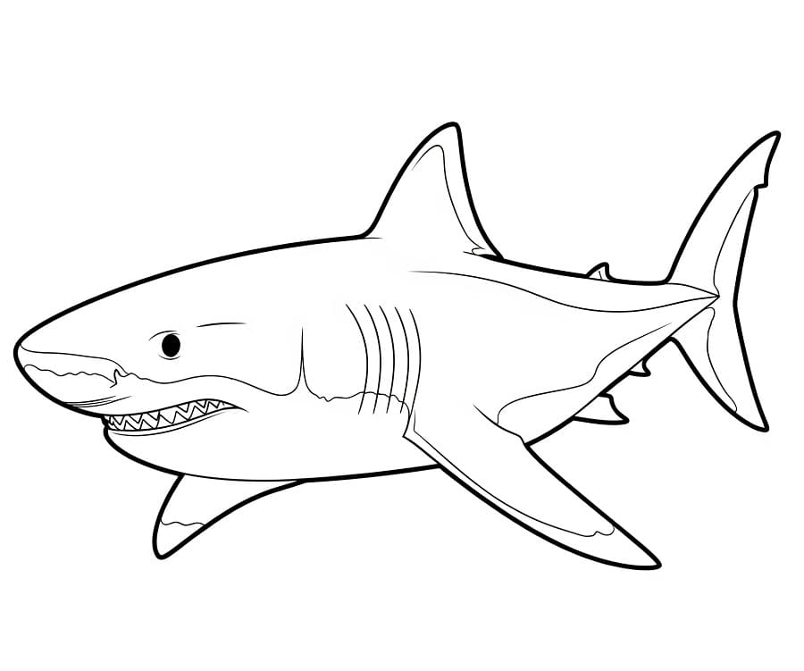 Hai Renklendir fargelegging