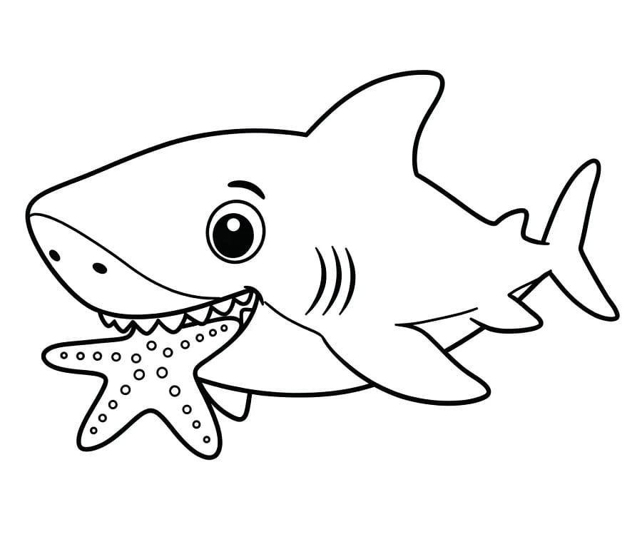 Hai og Sjøstjerne fargelegging
