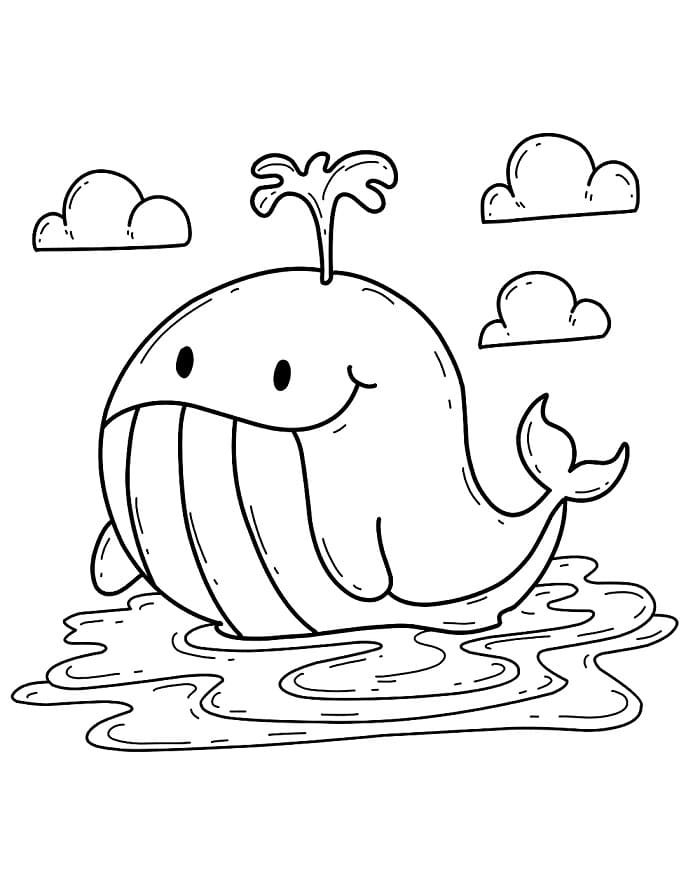 Havhval fargelegging