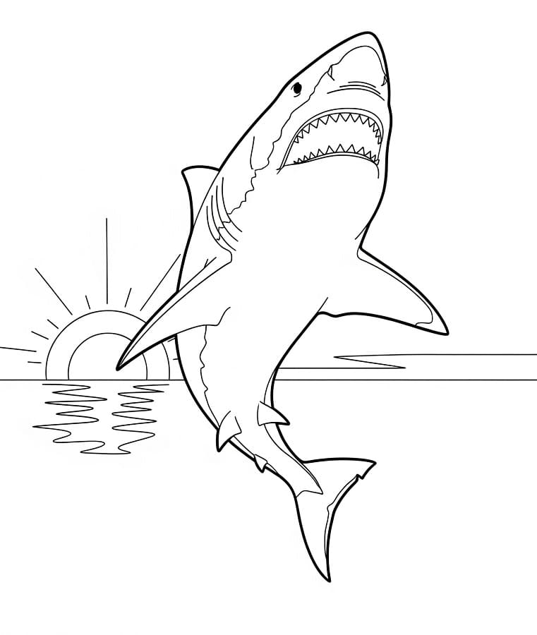 Hoppende Hai fargelegging