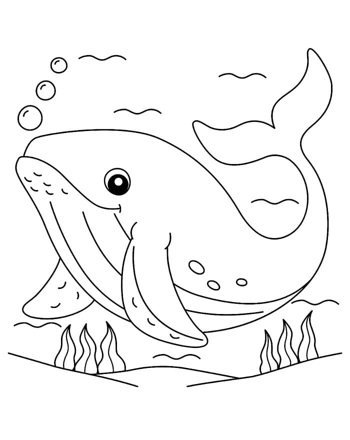 Lett Hval fargelegging