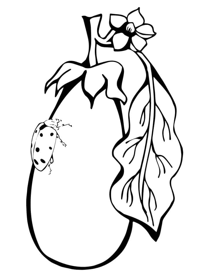 Marihøne på Aubergine fargelegging