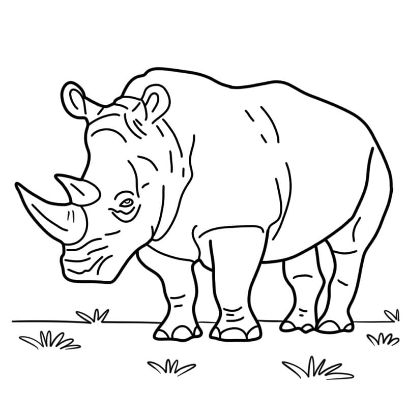 Neshorn å Skrive ut fargelegging