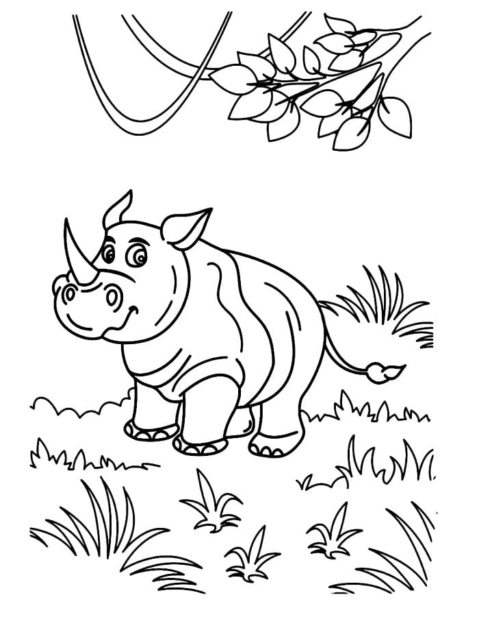 Neshorn i Villmarken fargelegging