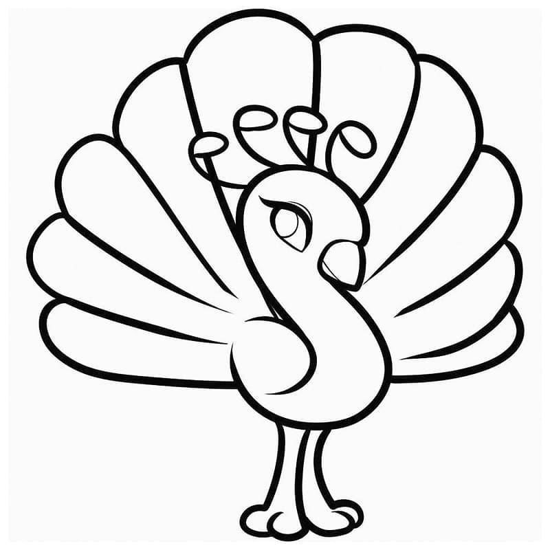 Påfugl Bilde fargelegging