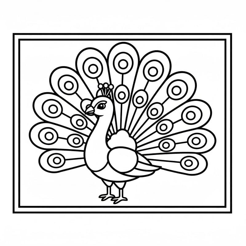 Påfugl Gratis for Barn fargelegging