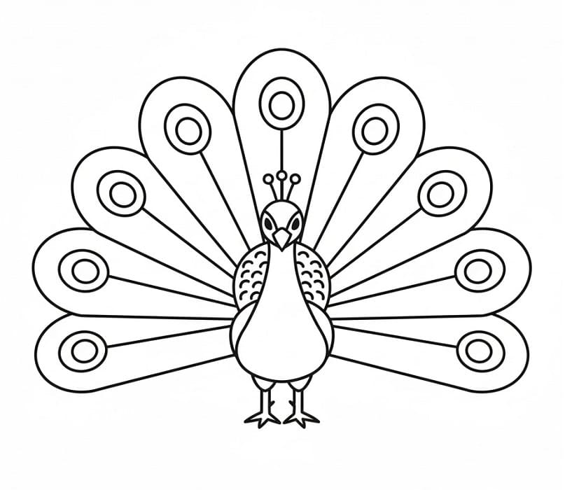 Påfugl for Barn fargelegging