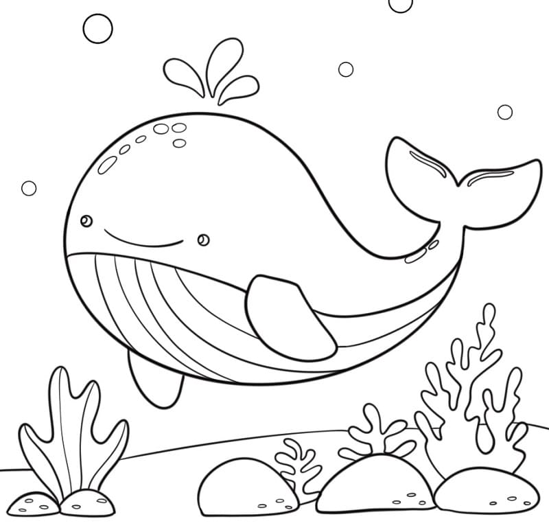 Skriv ut Hval fargelegging