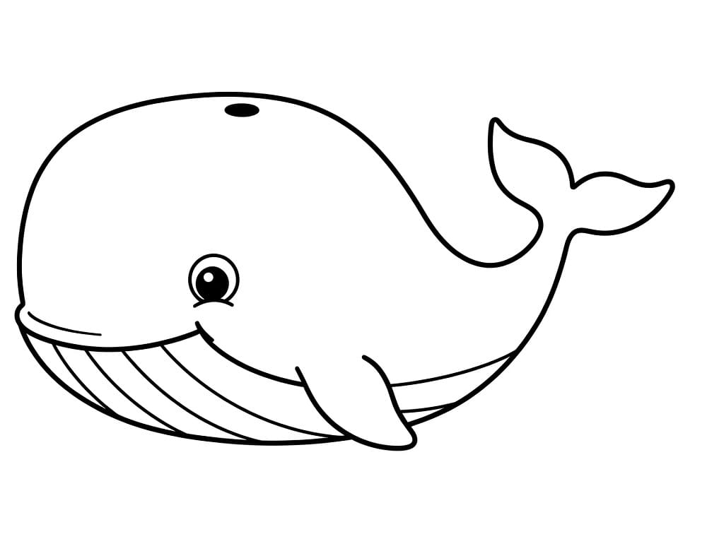 Søt Hval fargelegging